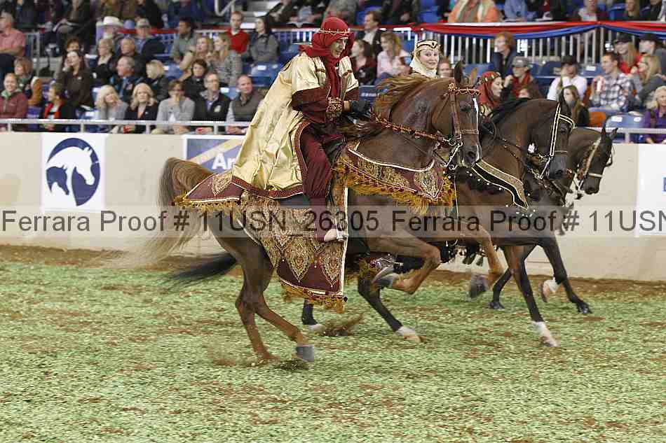 Proof 11usn_26305