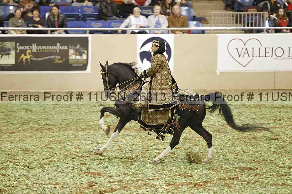 Proof 11usn_26313