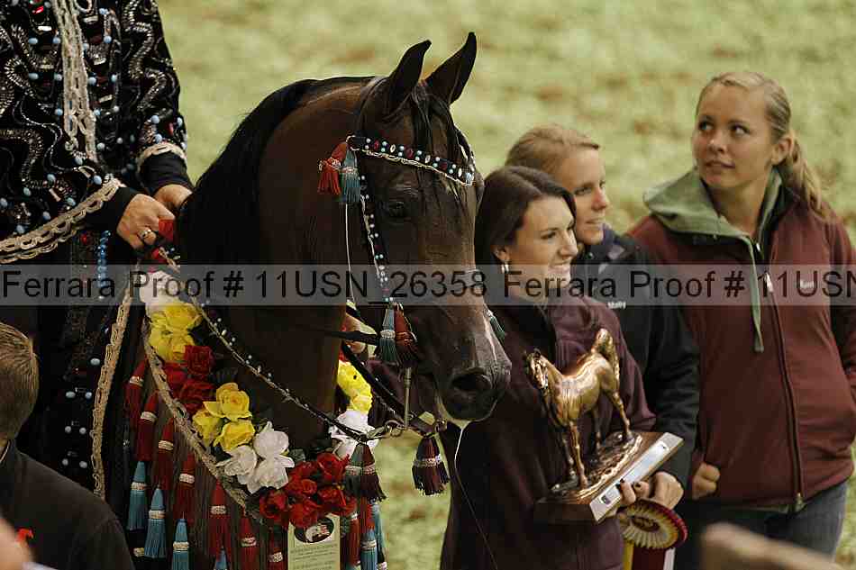 Proof 11usn_26358