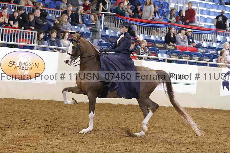 Proof 11usn_07460