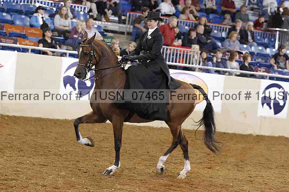 Proof 11usn_07465