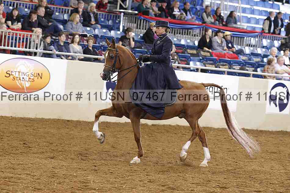 Proof 11usn_07467