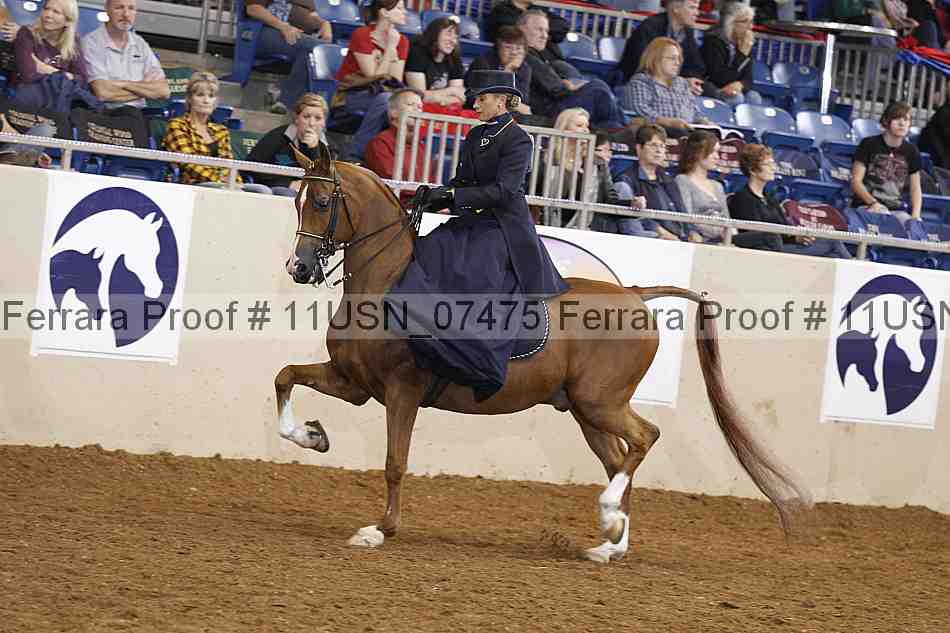 Proof 11usn_07475