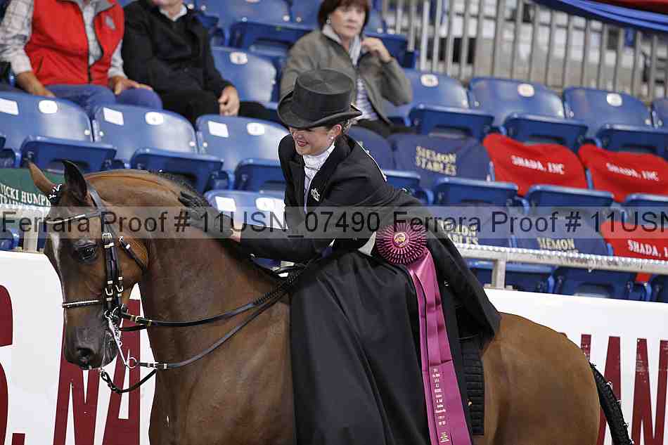 Proof 11usn_07490