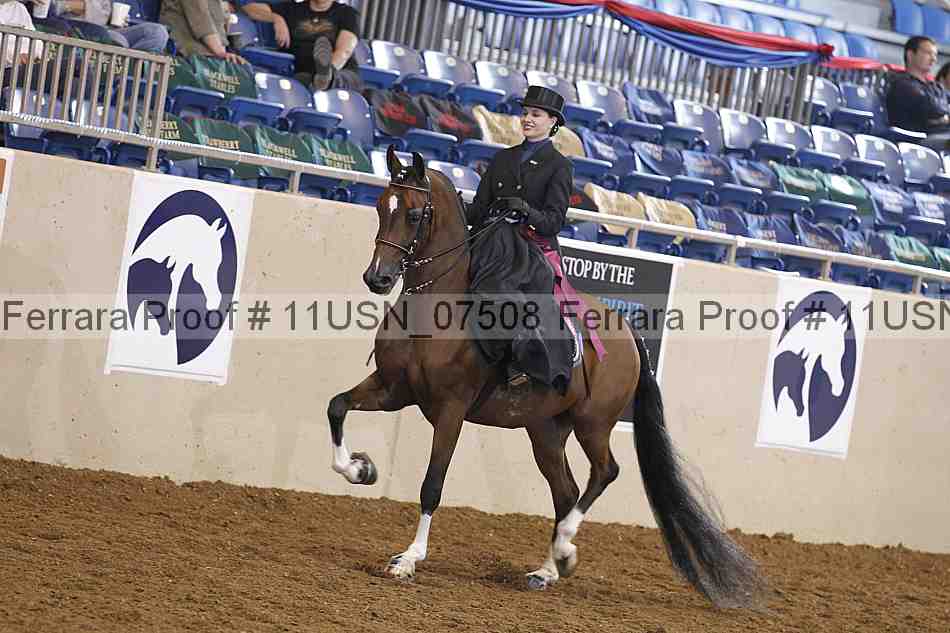 Proof 11usn_07508