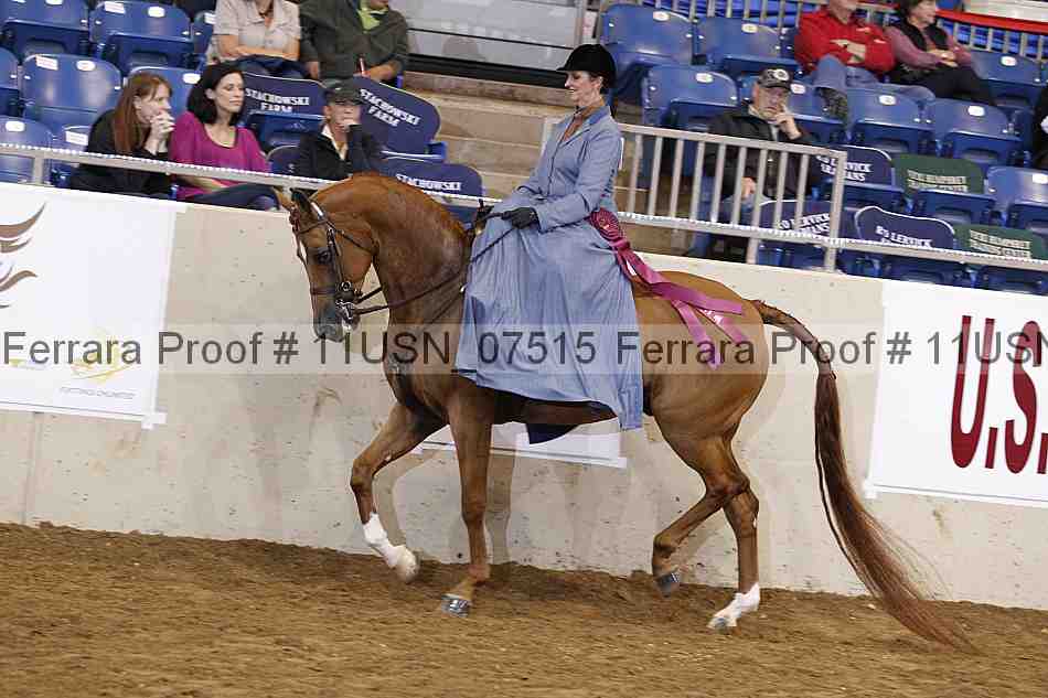 Proof 11usn_07515
