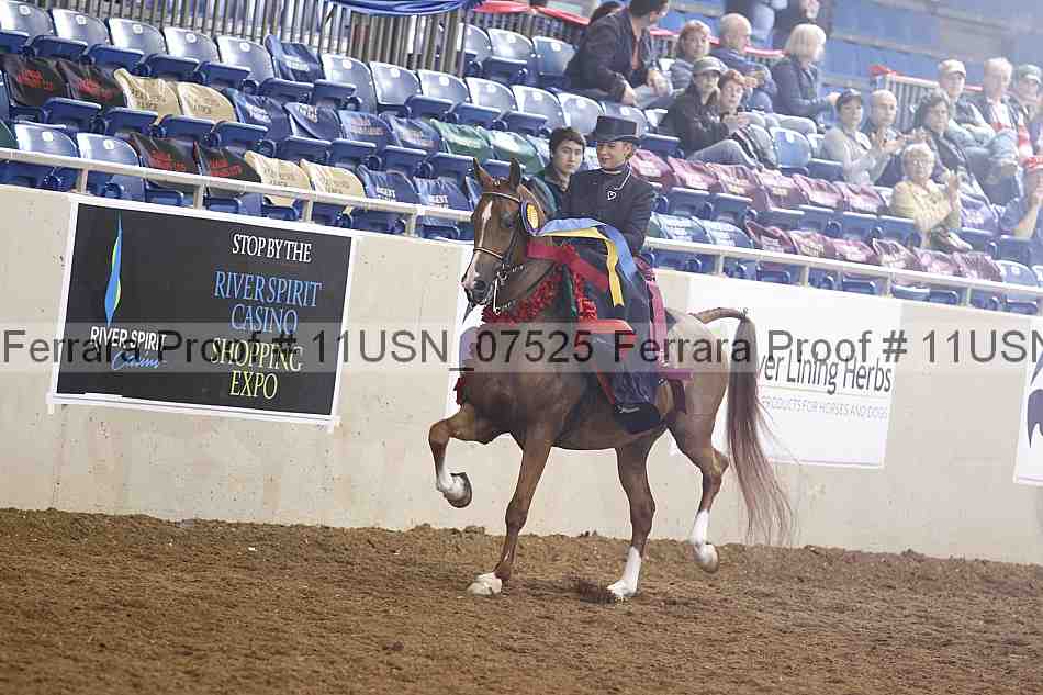 Proof 11usn_07525