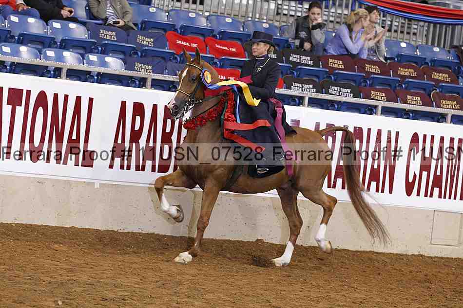 Proof 11usn_07528