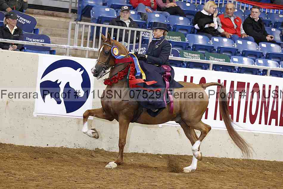 Proof 11usn_07529