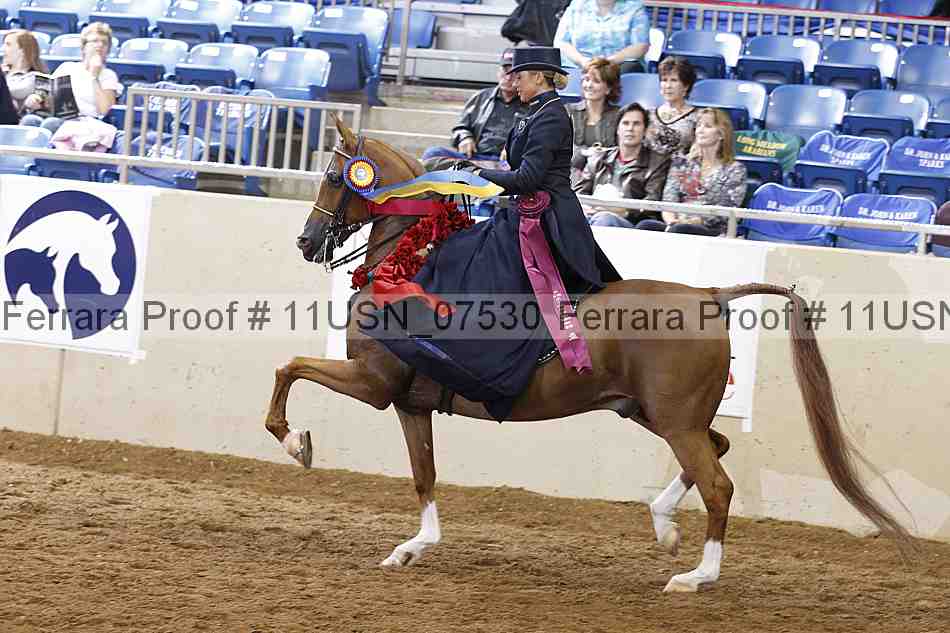 Proof 11usn_07530