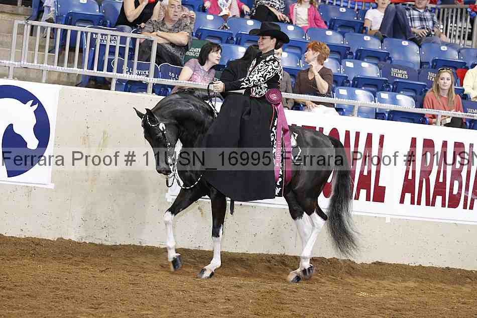 Proof 11usn_16995
