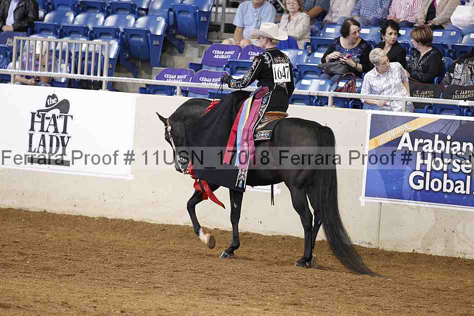 Proof 11usn_17018