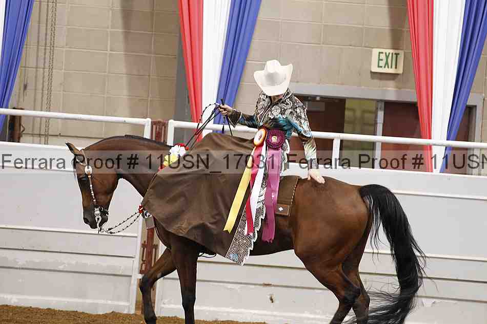 Proof 11usn_17031