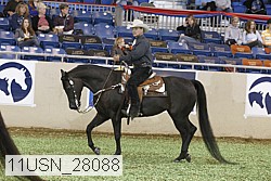 11usn_28088 proof