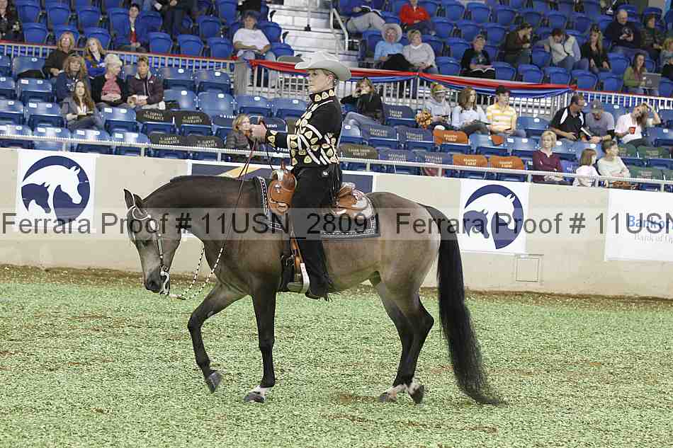 Proof 11usn_28091