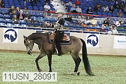 11usn_28091 proof