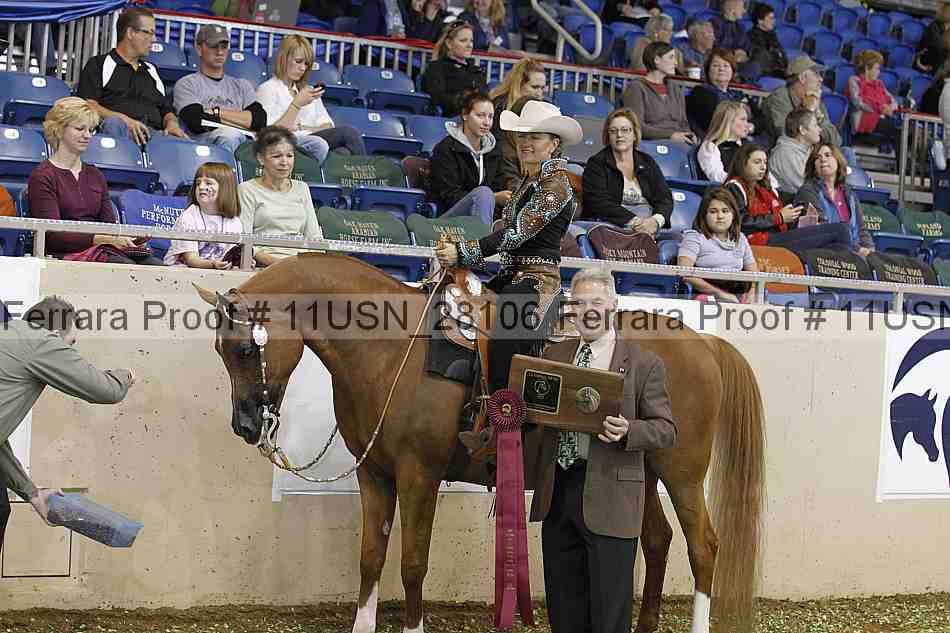 Proof 11usn_28106