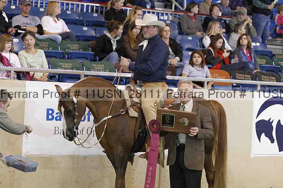 Proof 11usn_28111
