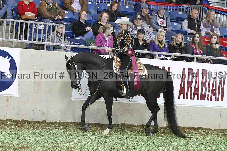 Proof 11usn_28164
