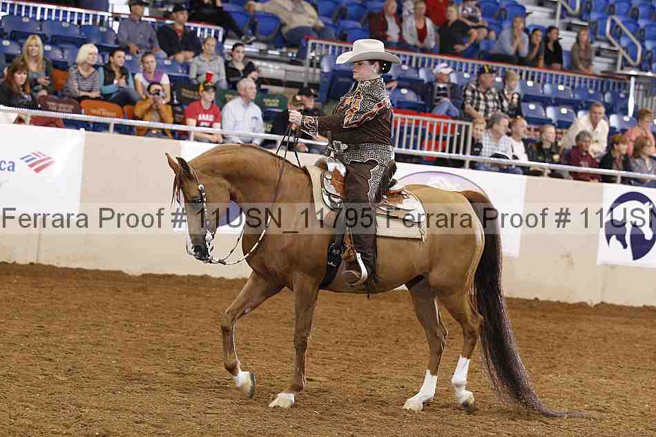 Proof 11usn_11795