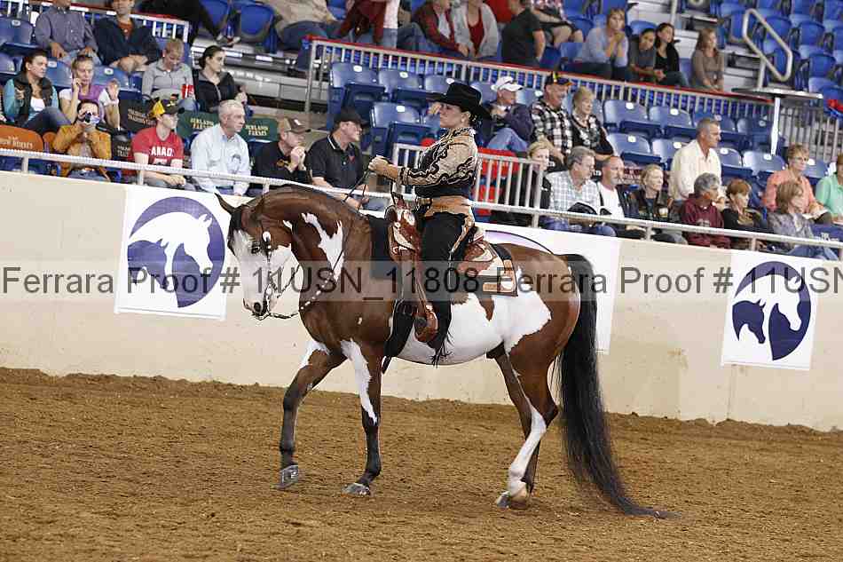 Proof 11usn_11808