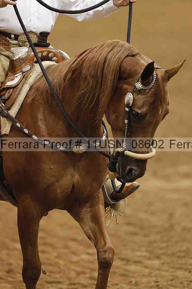 Proof 11usn_08602