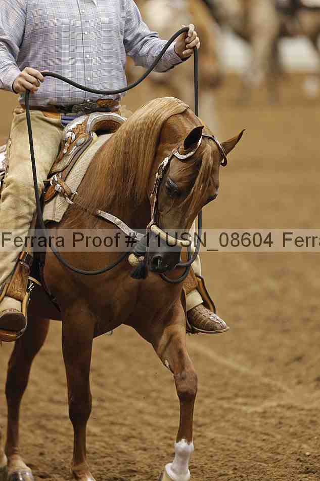 Proof 11usn_08604