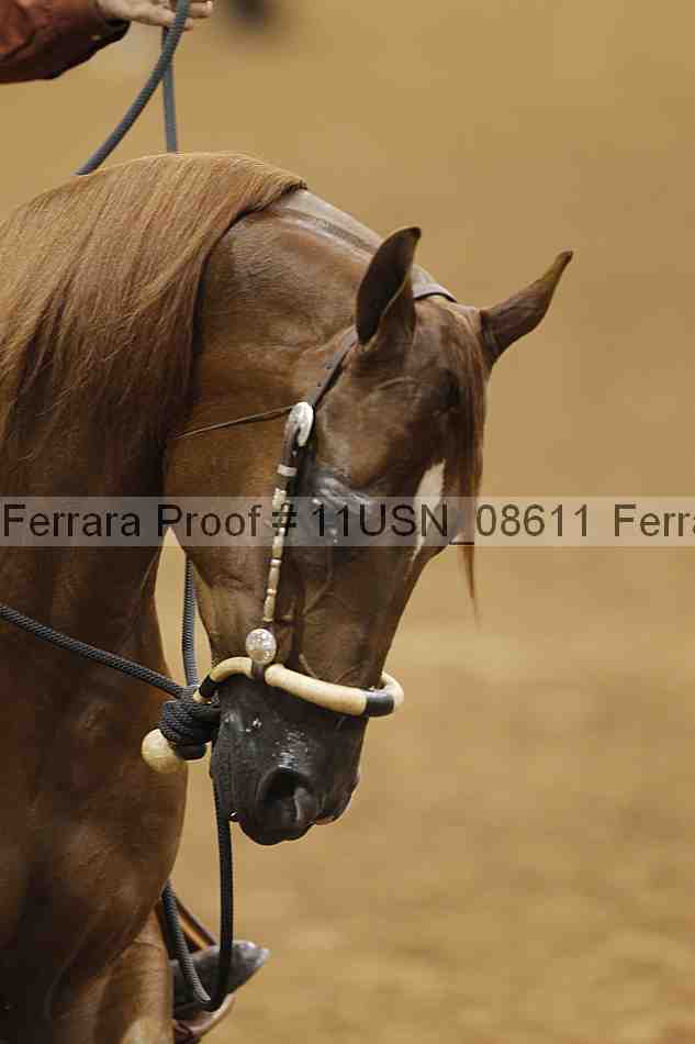 Proof 11usn_08611