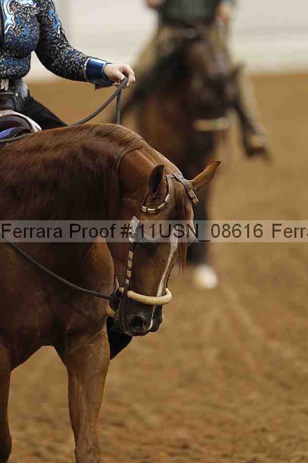 Proof 11usn_08616