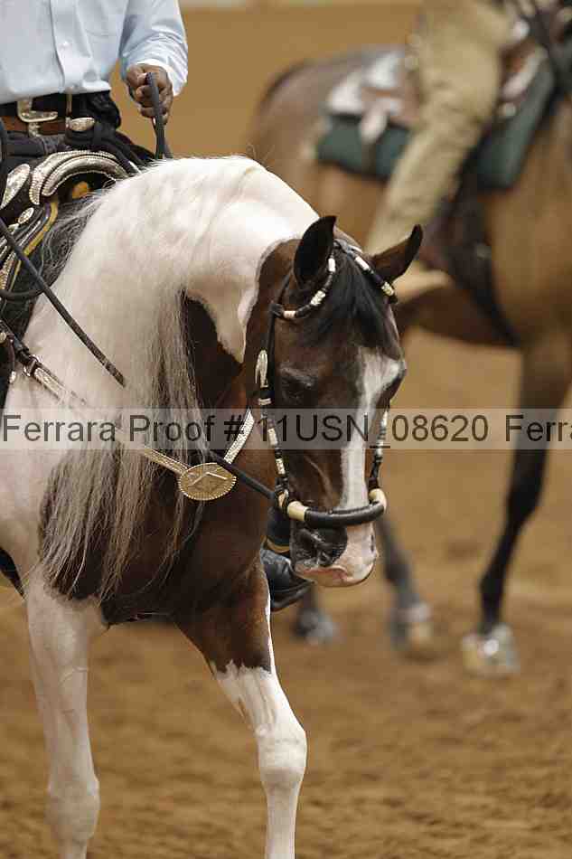 Proof 11usn_08620
