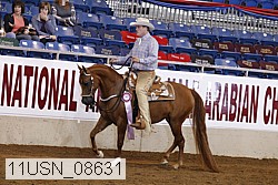 11usn_08631 proof