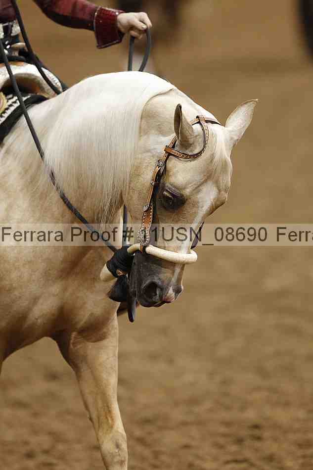 Proof 11usn_08690