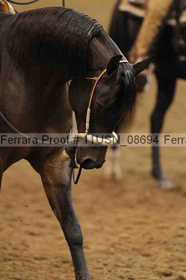 Proof 11usn_08694