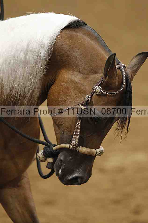 Proof 11usn_08700