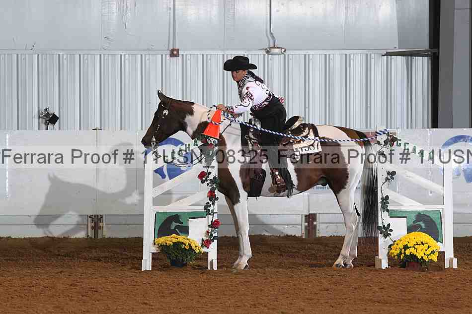 Proof 11usn_08325