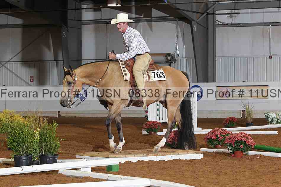 Proof 11usn_08338