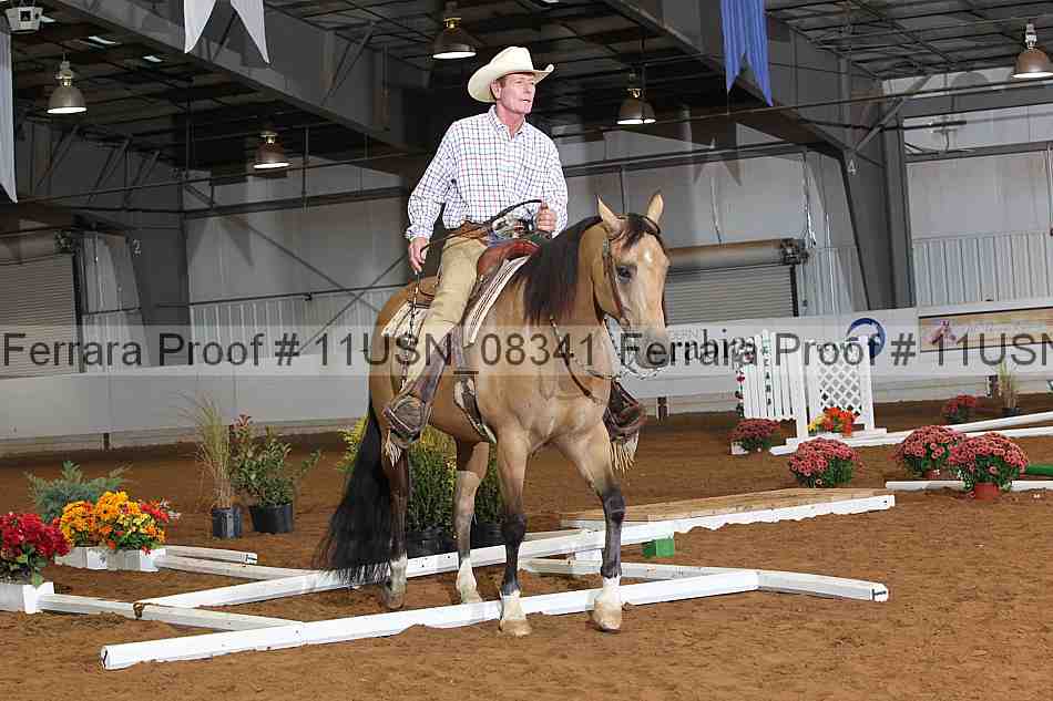 Proof 11usn_08341