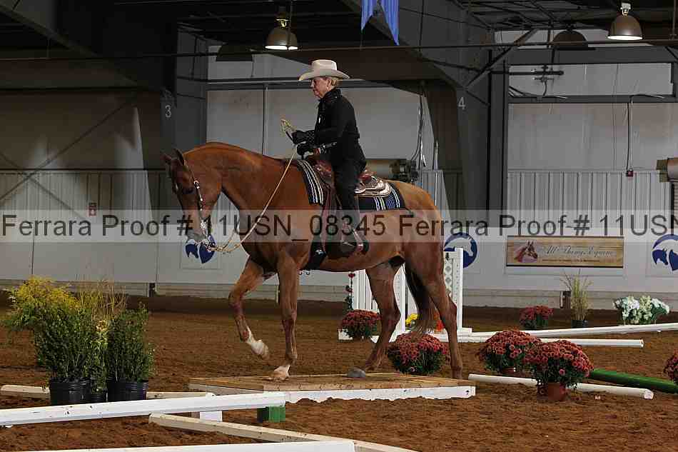 Proof 11usn_08345