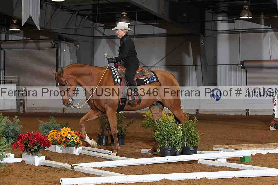 Proof 11usn_08346