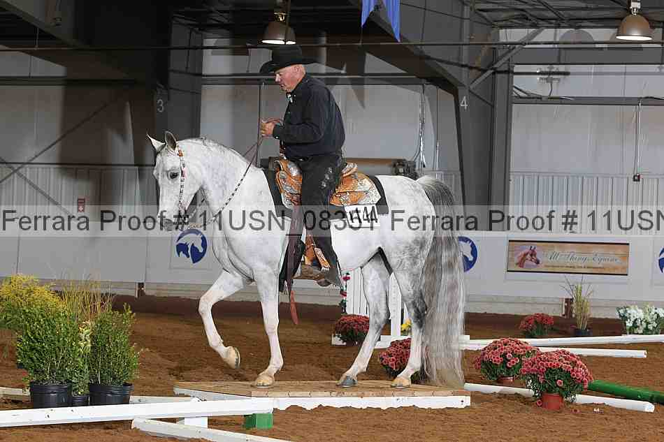 Proof 11usn_08351