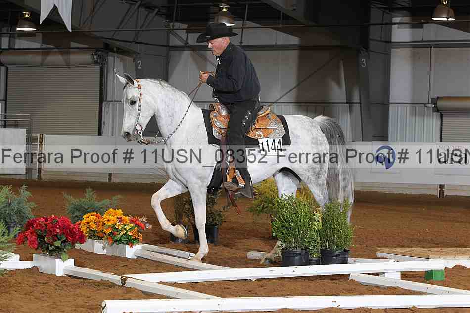Proof 11usn_08352