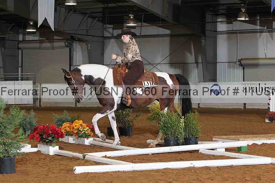 Proof 11usn_08360