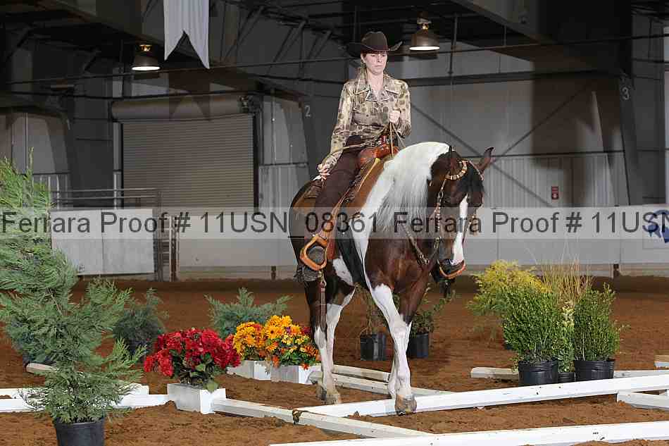 Proof 11usn_08361