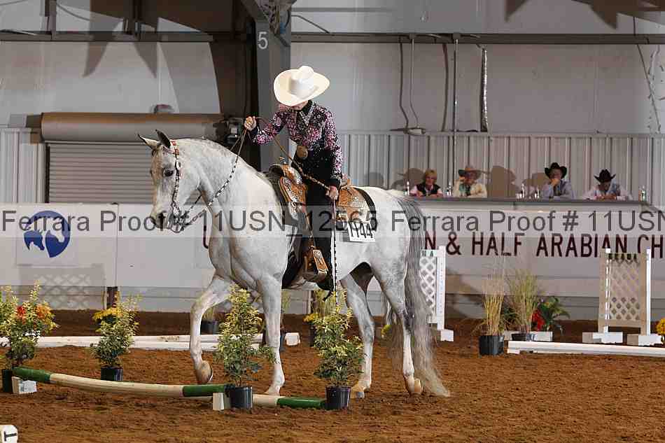 Proof 11usn_12565