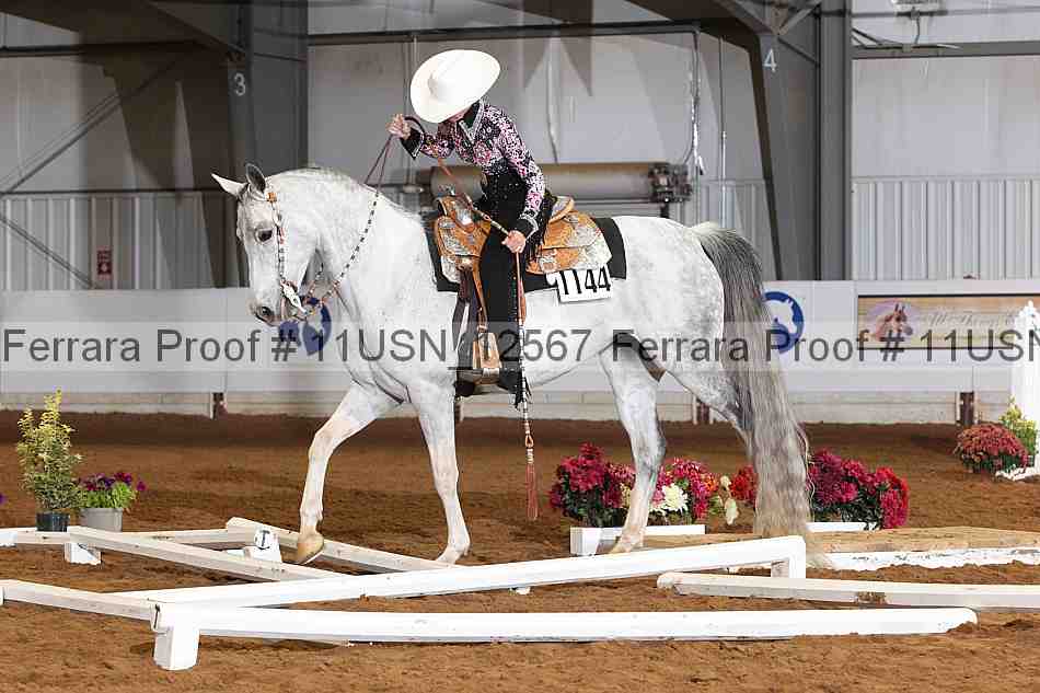 Proof 11usn_12567