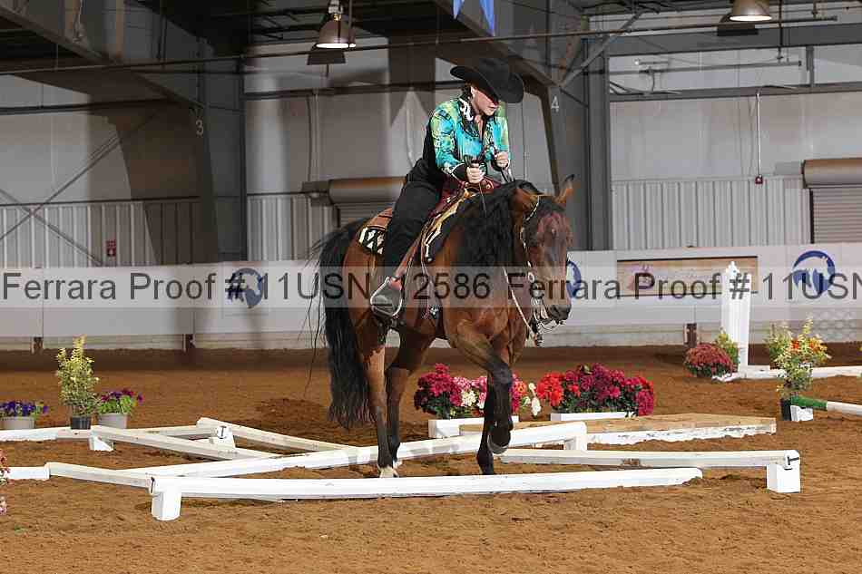 Proof 11usn_12586