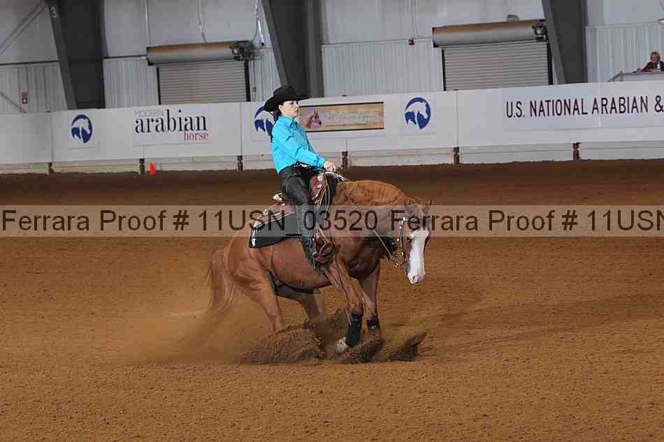 Proof 11usn_03520