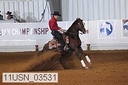 11usn_03531 proof