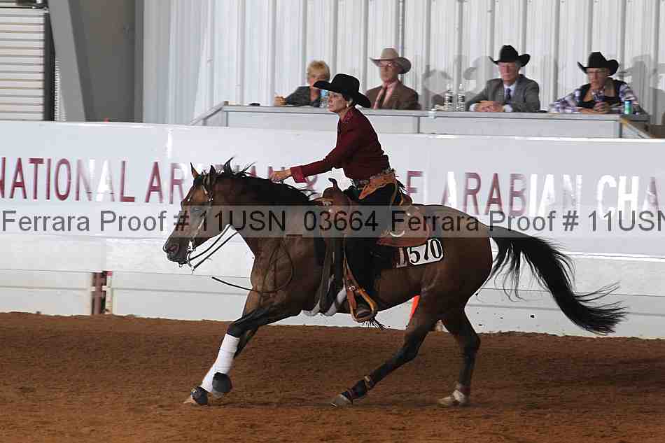Proof 11usn_03664
