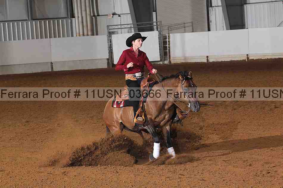Proof 11usn_03666